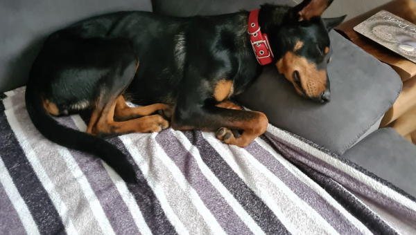 WAS IST AUS JETTE GEWORDEN???